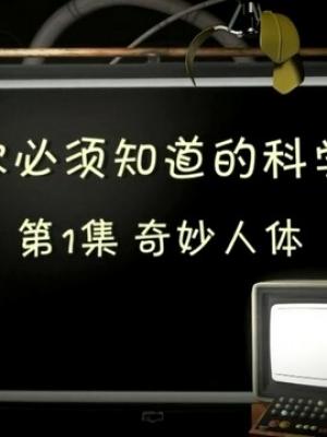 动画